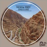 cover: Pas Cam|Remedy - Gorges Du Dades