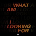 cover: Justin Mylo - What Am I Looking For?