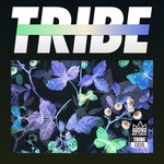 cover: Carlo M (pe)|Craftman|Jungle Jack - Tribe, Vol  05