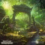 cover: Amontynes - Ruined Temple