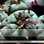 cover: Grinder - Lophophora