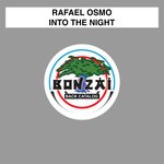 cover: Rafael Osmo - Into The Night