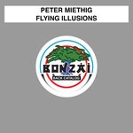 cover: Peter Miethig - Flying Illusions