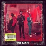 cover: Joeboy|Kanibeatz|Teni - Mr Man