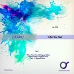 cover: Casari - What You Need