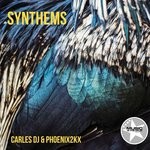 cover: Carles Dj & Phoenix2kx - Synthems