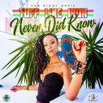 cover: Sam Diggy|Tuff Like Iron - Never Did Know