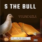 cover: S The Bull - Vulindlela