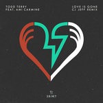 cover: Ami Carmine|Todd Terry - Love Is Gone