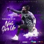 cover: Sekuence - Nah Give Up