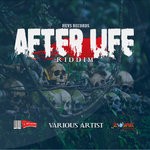 cover: Bareface|Erok|I Am Musa|Leanny Frass|Shu Shu|Hevs Records - After Life Riddim