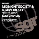 cover: Dj Amoroso|Midnight Society|Nyeelah - Twist My Knobs