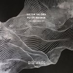 cover: Peter Hatman|Victor Valora - Feel The Vibes EP