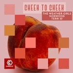 cover: Norwood|Terri B!|The Weather Girls - Cheek To Cheek (Mixes)