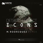 cover: Detroit Project - Icons