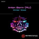 cover: Anton Borin (ru) - Winter Wood