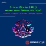 cover: Anton Borin (ru) - Winter Wood (Remix Edition)