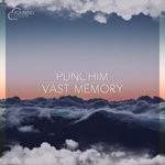 cover: Punchim - Vast Memory