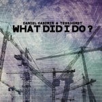 cover: Daniel Casimir & Tess Hirst - What Did I Do?