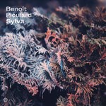 cover: Beno?t Pioulard - Sylva