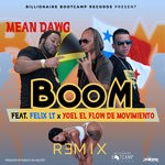 cover: Felix Lt|Mean Dawg|Yoel El Flow De Movimiento - Boom Remix