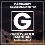 cover: Dj Swaggy - Several Days '19