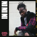 cover: Zebra Katz - IN IN IN