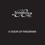 cover: A Vision Of Panorama - Delicious Saw