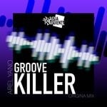 cover: Arel Yano - Groove Killer