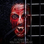 cover: Dj Tomsten - You Like The Music