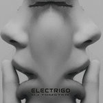 cover: Dj Tomsten - Electrigo