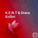 cover: Kent|Draco - Kolibri