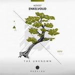 cover: Enkelvoud - The Unknown