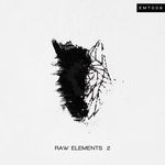 cover: Various - Raw Elements .2