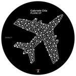 cover: Gabriele Dila - Plane EP