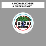 cover: J. Michael Kober - A Brief Infinity