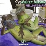 cover: Ashley Gibson - Mellow Lizard