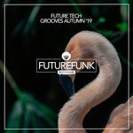 cover: Martin Fisher|Various - Future Tech Grooves (Autumn '19)