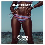 cover: Jamie Trumpet - Feel You (VIP Mix)