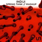 cover: Indiji - Into The Spring Tank