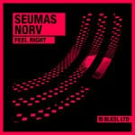 cover: Seumas Norv - Feel Right