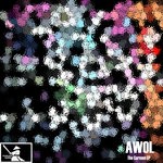 cover: Awol & Roofus - The Carmen