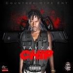 cover: Tayza - Chip