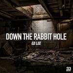 cover: Ed Lee - Down The Rabbit Hole