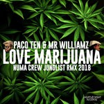 cover: Paco Ten - I Love Marijuana