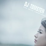 cover: Dj Tomsten - You Need Somebody