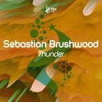 cover: Sebastian Brushwood - Thunder