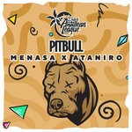 cover: Menasa & Ataniro - Pitbull