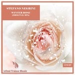 cover: Stefano Negrini - Winter Rose