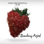 cover: Chlorophyll Ab - Strawberry Project